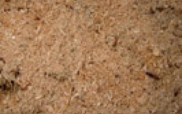 Biomasa: Univerzální zdroj obnovitelné energie