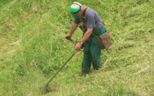 Profesionální údržba trávníků na míru
