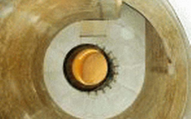 DITHERM: Inovace v Energetice a Biomase