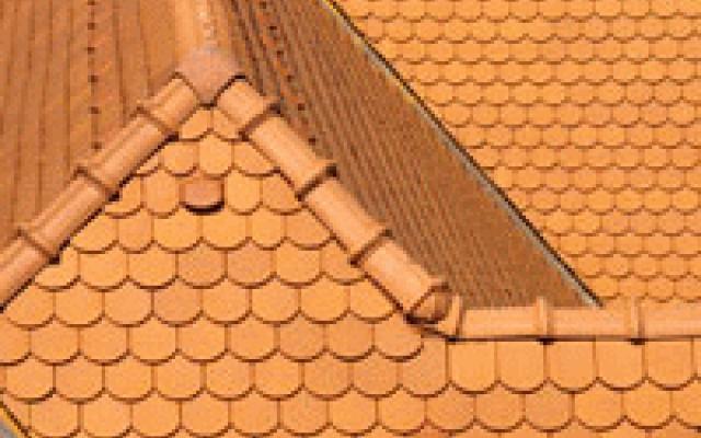 Různé typy střech: pálená, betonová a plechová krytina