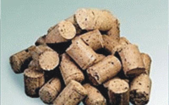 Biomasa: Univerzální zdroj energie