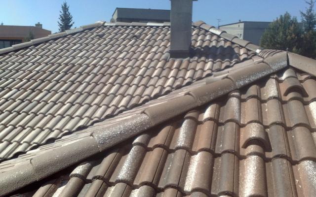 Široká nabídka krytin pro vaši střechu