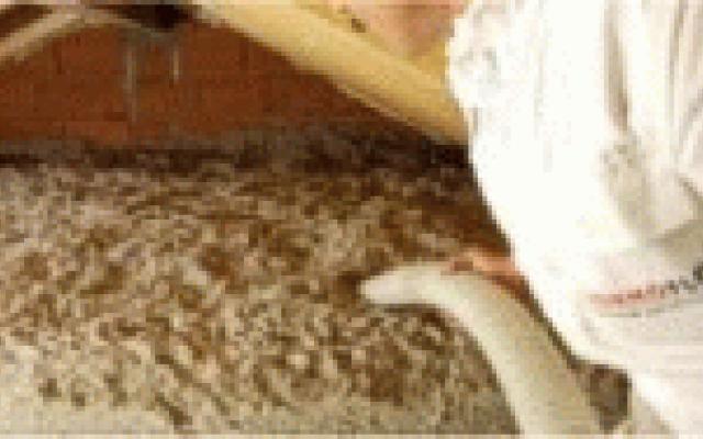 Thermofloc: Efektivní izolační materiál pro každou stavbu