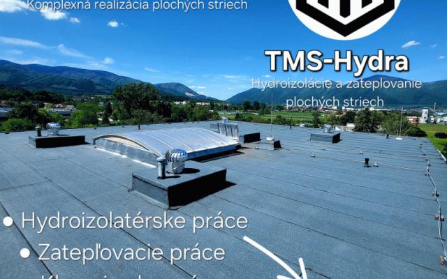 Oprava plochých střech s TMS-HYDRA