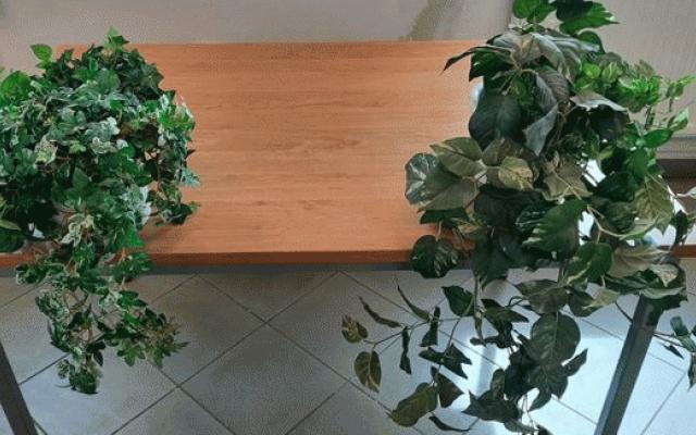Krásné umělé květiny pro každý interiér