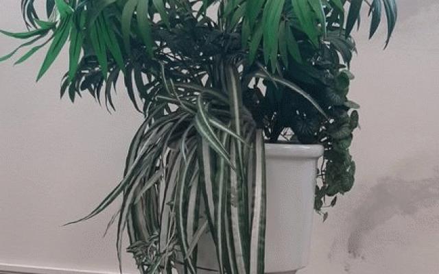 Umělá květina na podstavci 50 cm