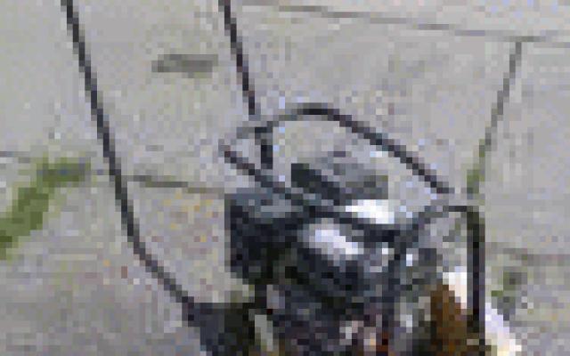 Žába BOMAG BP 30 / 36 - 100 kg za akční cenu