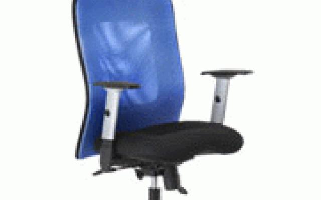 Ergonomická židle s nastavením pro každého