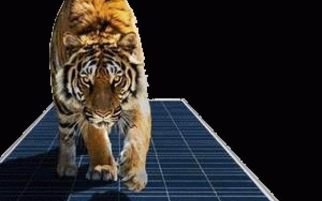 EMMVEE Solar: Váš partner pro solární panely