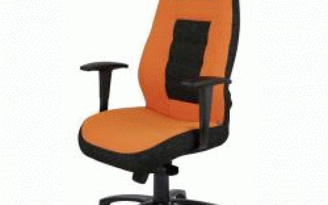 Ergonomické manažerské křeslo s luxusním designem