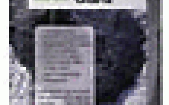 Objevte různé typy dlažebních povrchů pro váš projekt