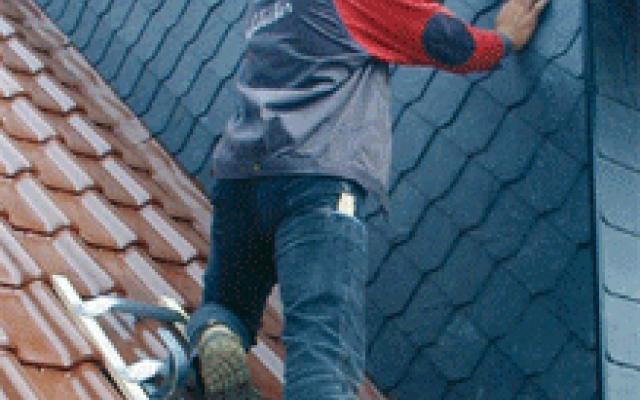 Dřevo-hliníkové žebříky pro profesionály – Požádejte o nabídku