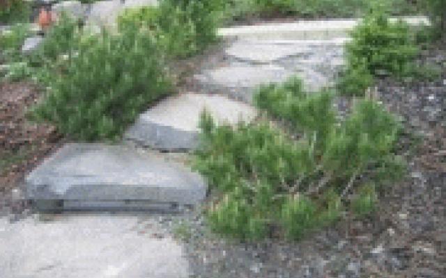 Kvalitní platne a šlapáky pro krásné exteriéry