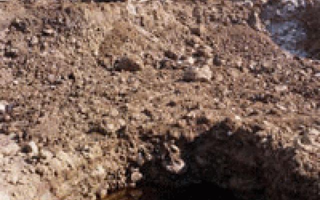 Profesionální decontaminace a rekultivace s DEMONT Group