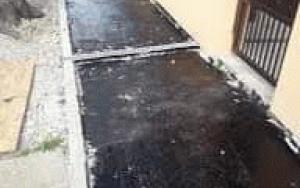 Komplexní zahradnické a stavební práce